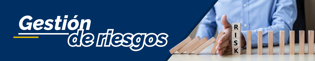 Banner-gestion-de-riesgo